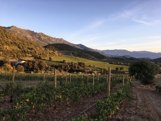 Domaine Antoine-Marie Arena