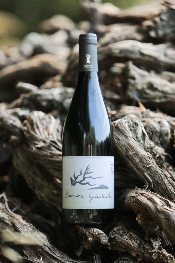 Kelder van Domaine Muriel Giudicelli in Patrimonio