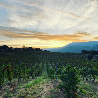 Domaine Vaccelli