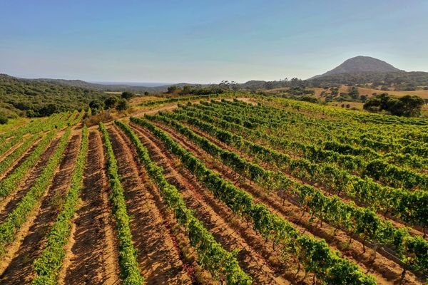 Domaine Andriella