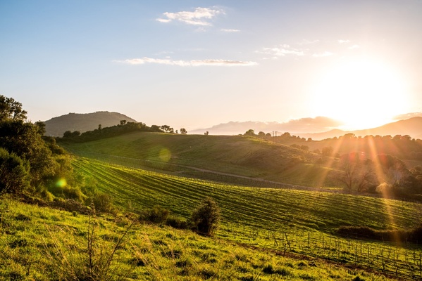Domaine Comte Abbatucci