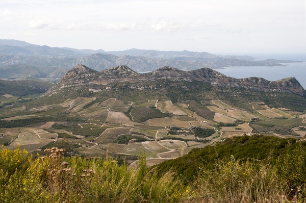 Domaine Maestracci